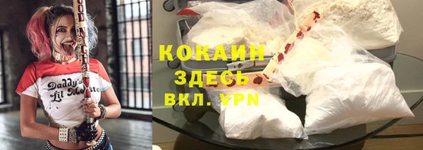 мдпв Богданович