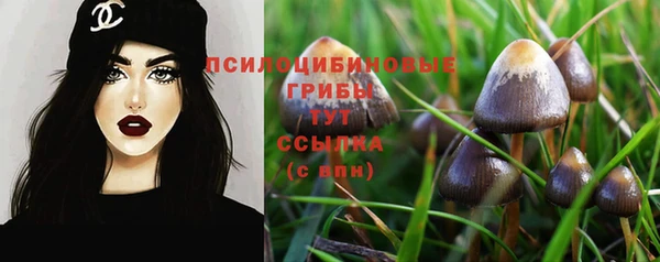 кокаин Богородицк
