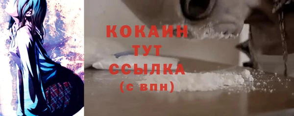 мдпв Богданович