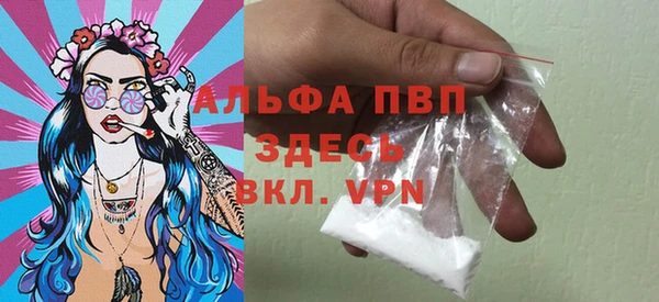мдпв Богданович