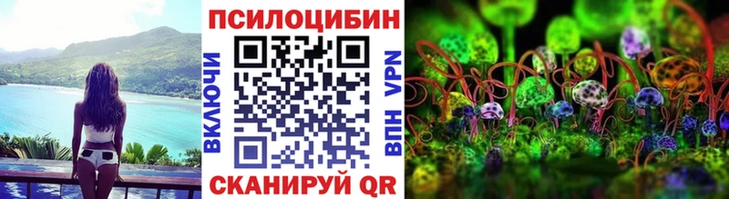 Купить закладки  Буинск  Псилоцибиновые грибы Cubensis 